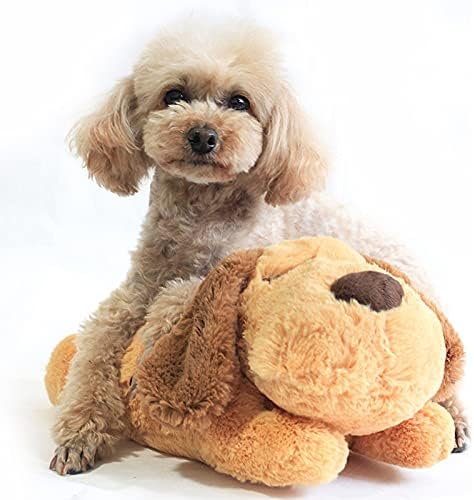 Buddy relax